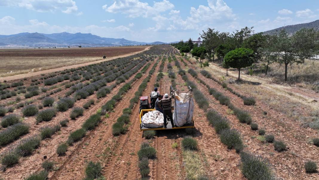 Konya Büyükşehir Belediyesi, bu projeyle çiftçilerin gelirini artırdı 1
